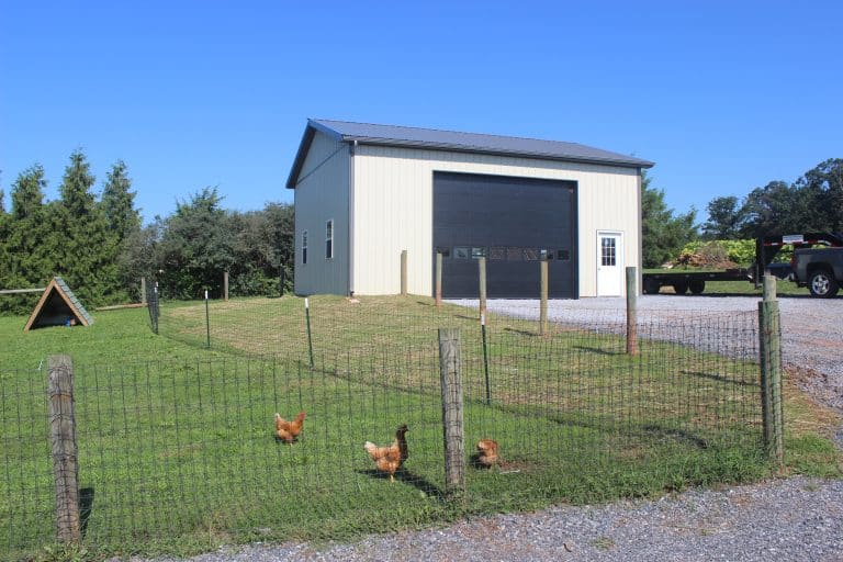 chickens in fence by a 28x32 workshop for sale in new holland pa